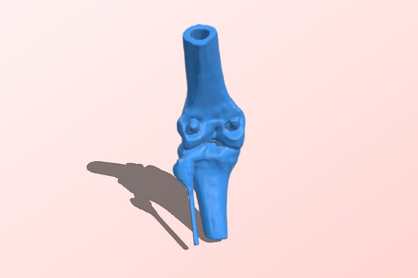 Dog Knee - Teaching Purpose | 3d print model