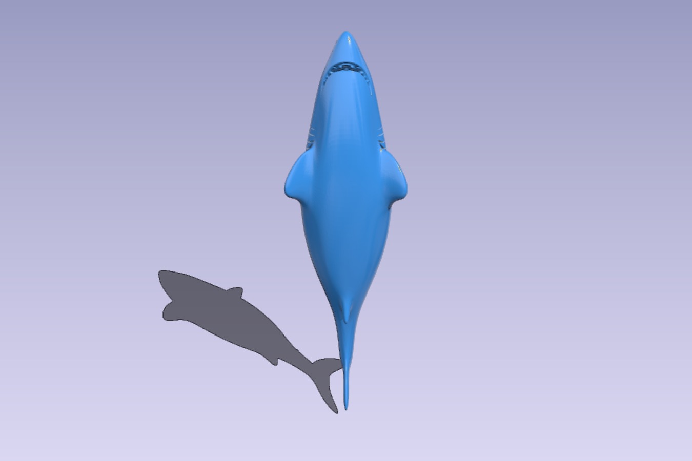 Shark!