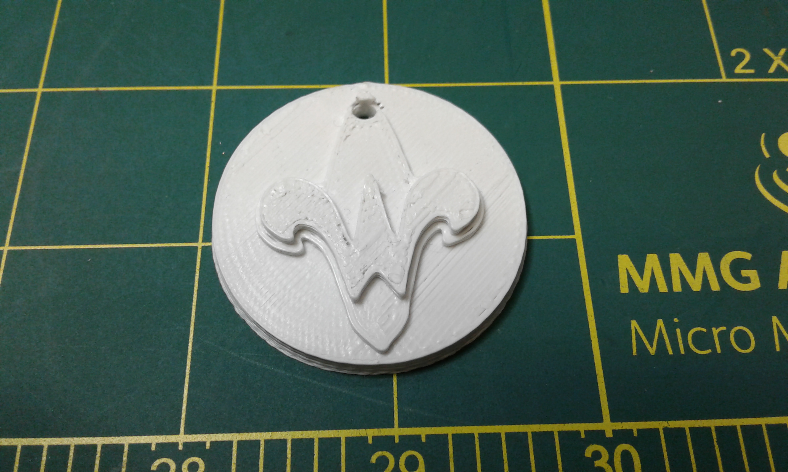 BSA Cub Scout Webelos Coin (Dog Tag)