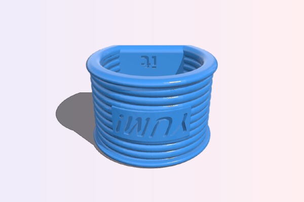 Napkin Rings, D Shaped, Plain or with Text | 3d print model