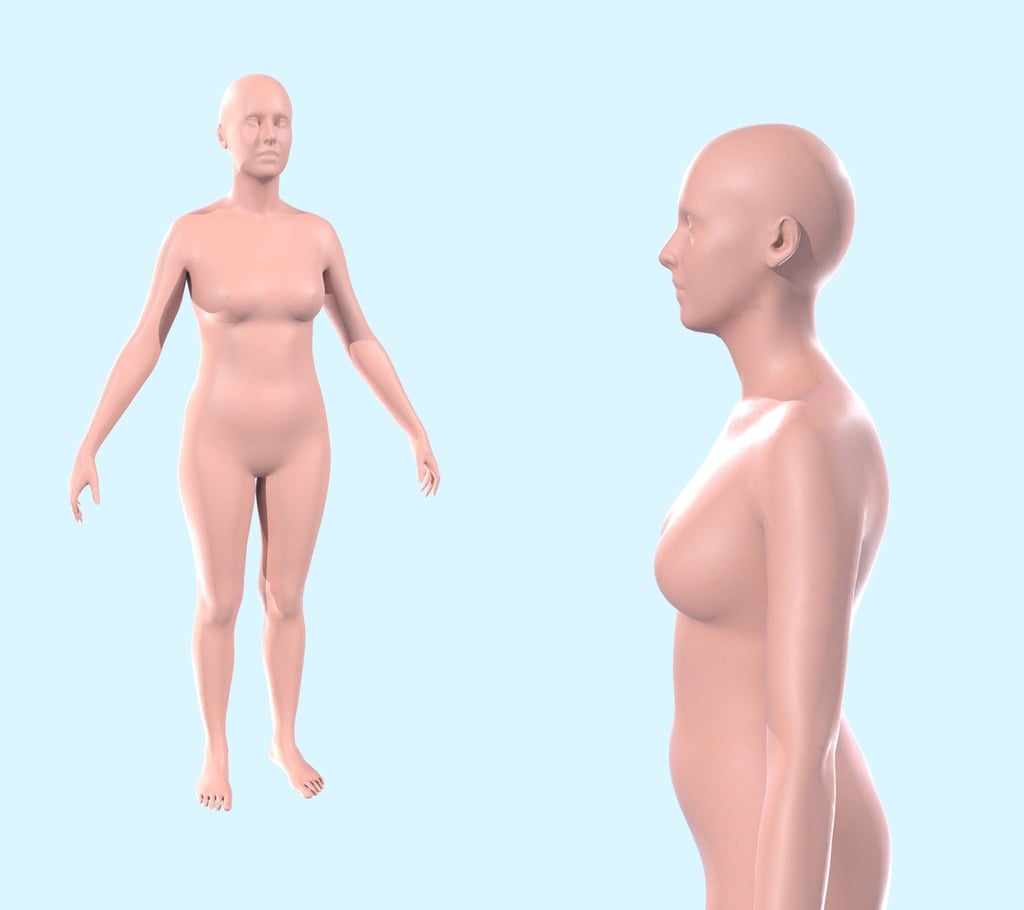 Stamat - Almost Average Female Body - Scale 1:2