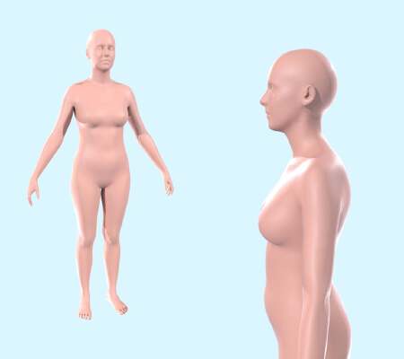 Stamat - Almost Average Female Body - Scale 1:2 | 3d print model