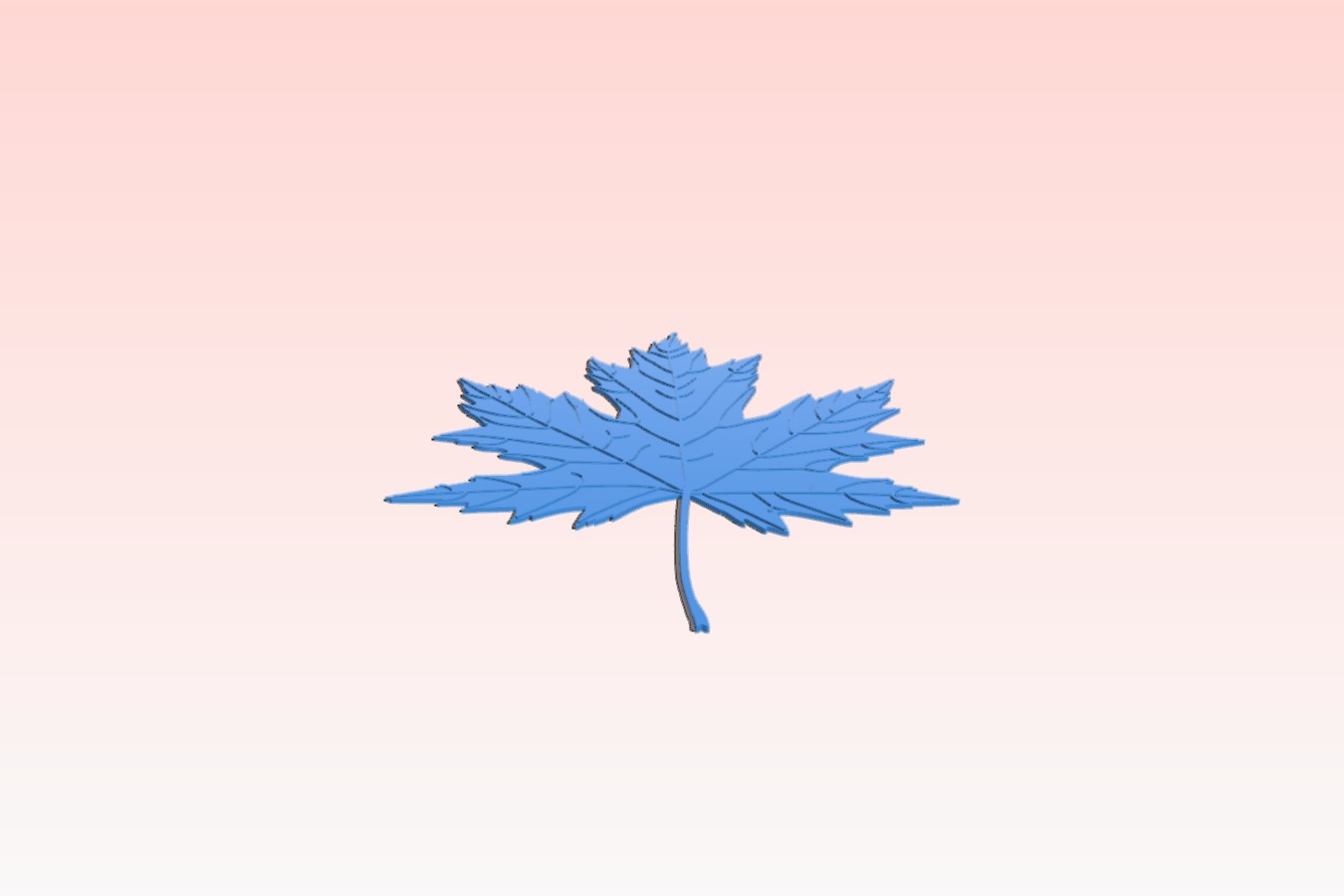 Maple tree leaf