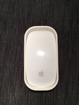 Apple Magic Mouse travel case | 3d print model