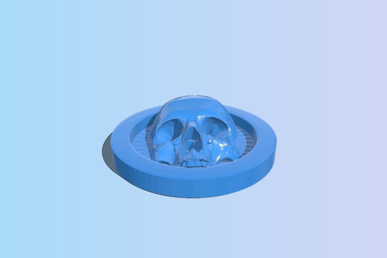 Skull Coin Fridge Magnet