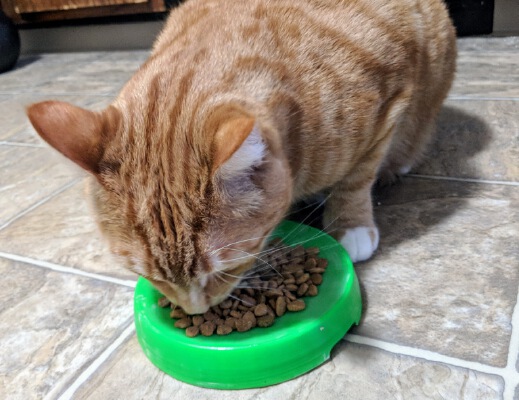 Frustration-Free cat bowl | 3d print model