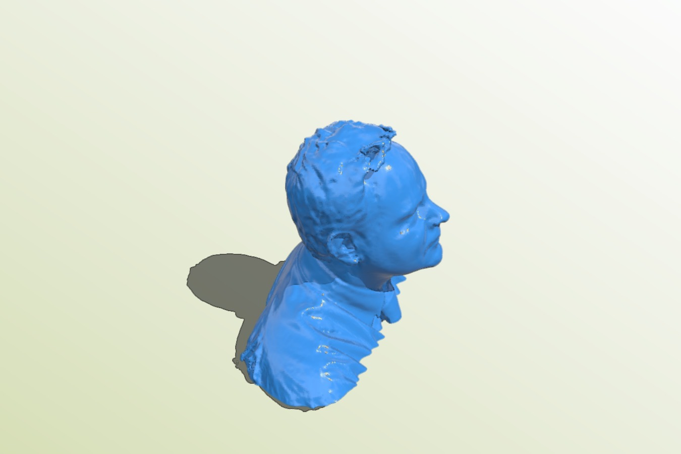 buste homme men bust