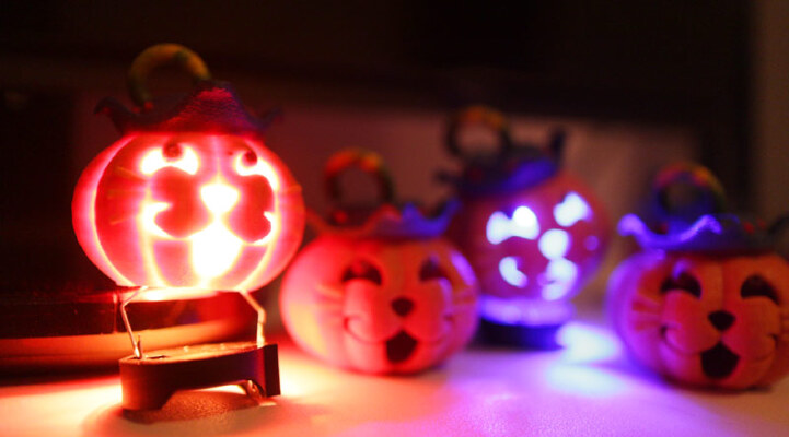 Halloween Pumpkin cat | 3d print model