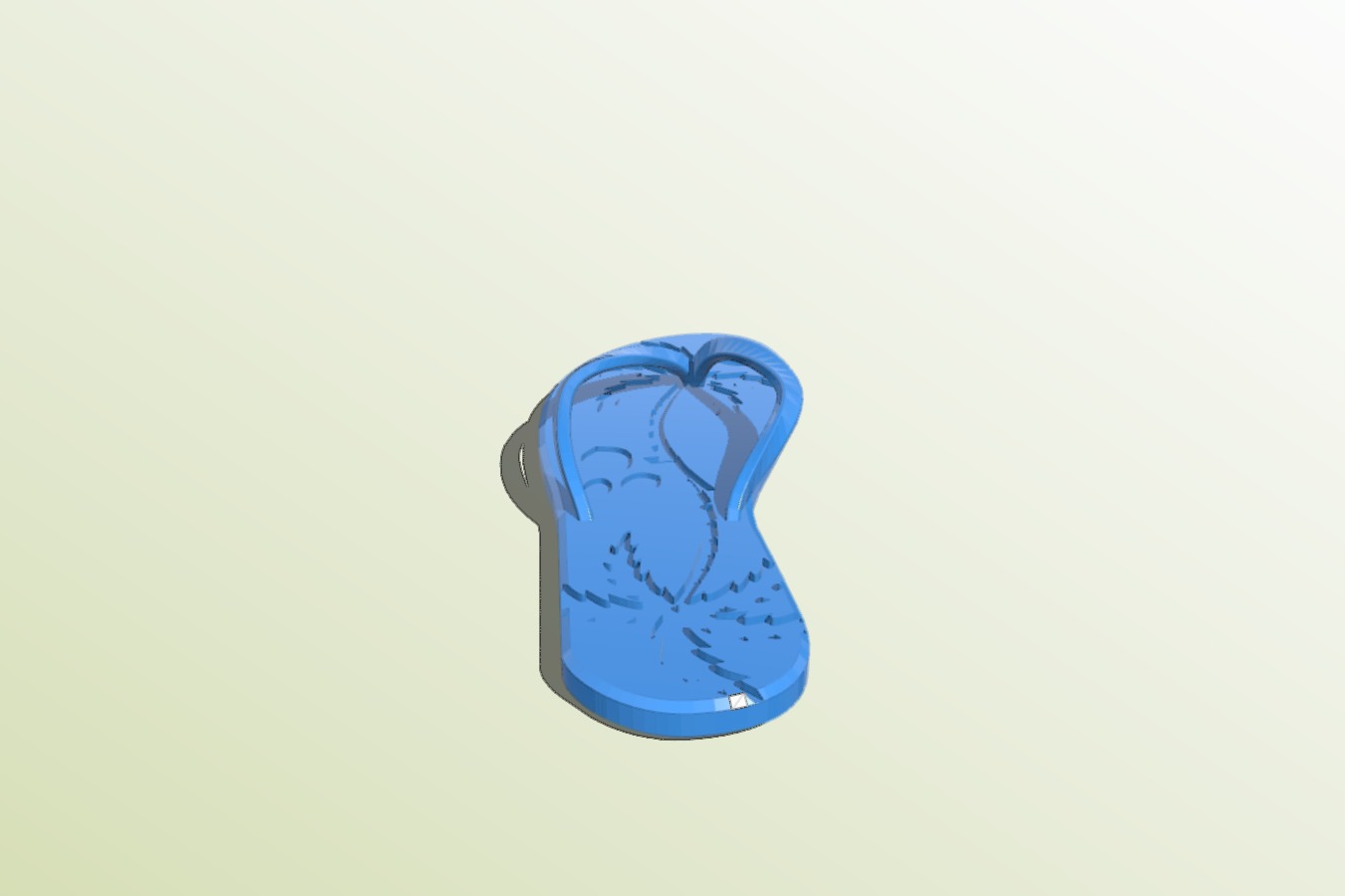 Flip flop plage