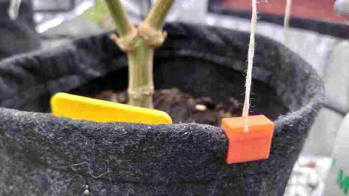 Clips for factory smartpots, with a hole for LST | 3d print model