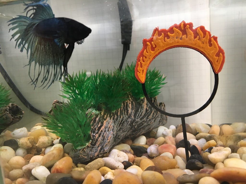 Flaming Stunt Hoop for Fish Tank