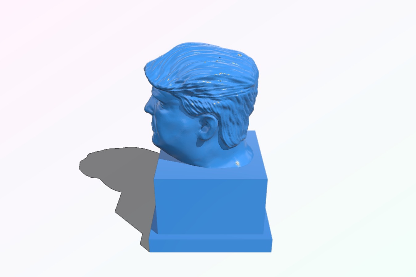 45th President*