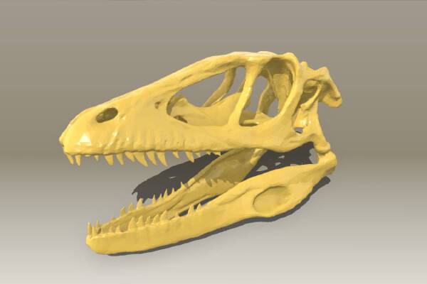 Dinosaur Skull | 3d print model