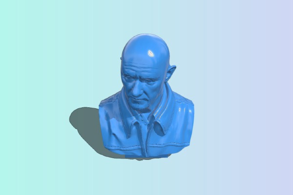 Mike Ehrmantraut bust | 3d print model