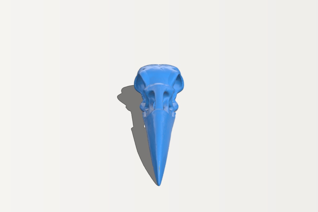 Raven Skull Pendant