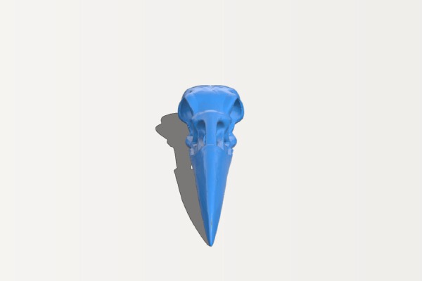 Raven Skull Pendant | 3d print model