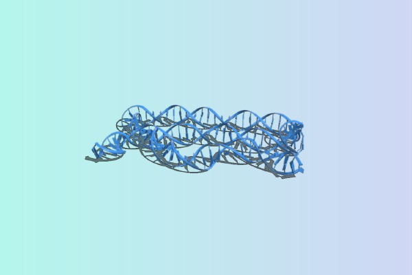 DNA | 3d print model