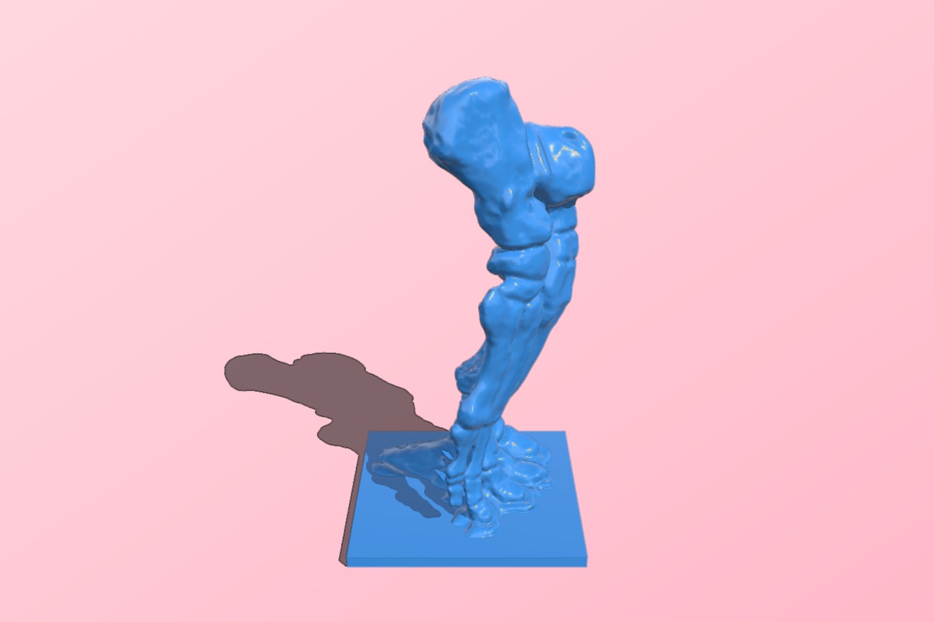 Foot skeleton