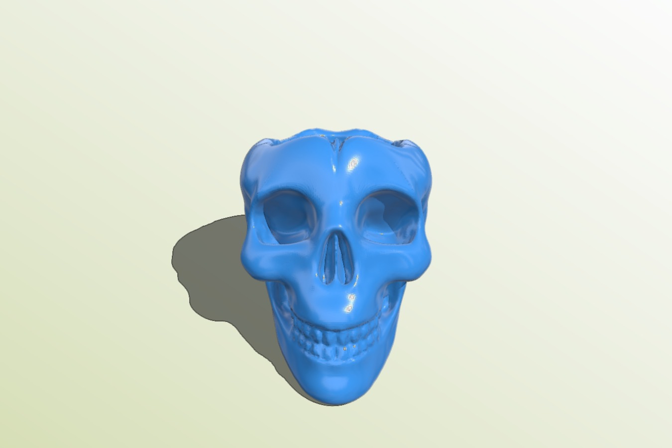 Skull Container