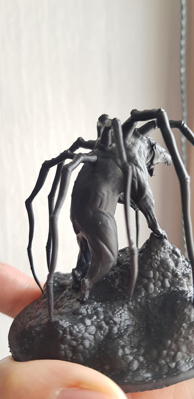 Spider Bear