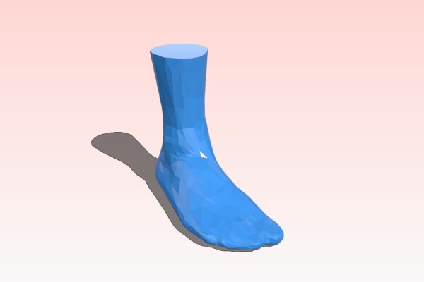 Sock Blocker (3D Foot) EU40 25cm Polygonal | 3d print model