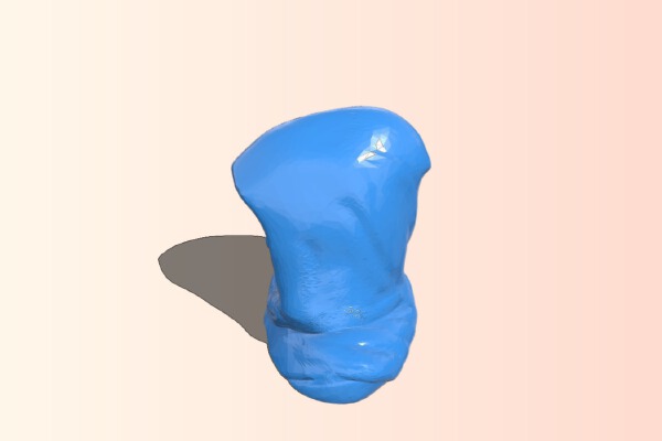 Skeletor bust | 3d print model