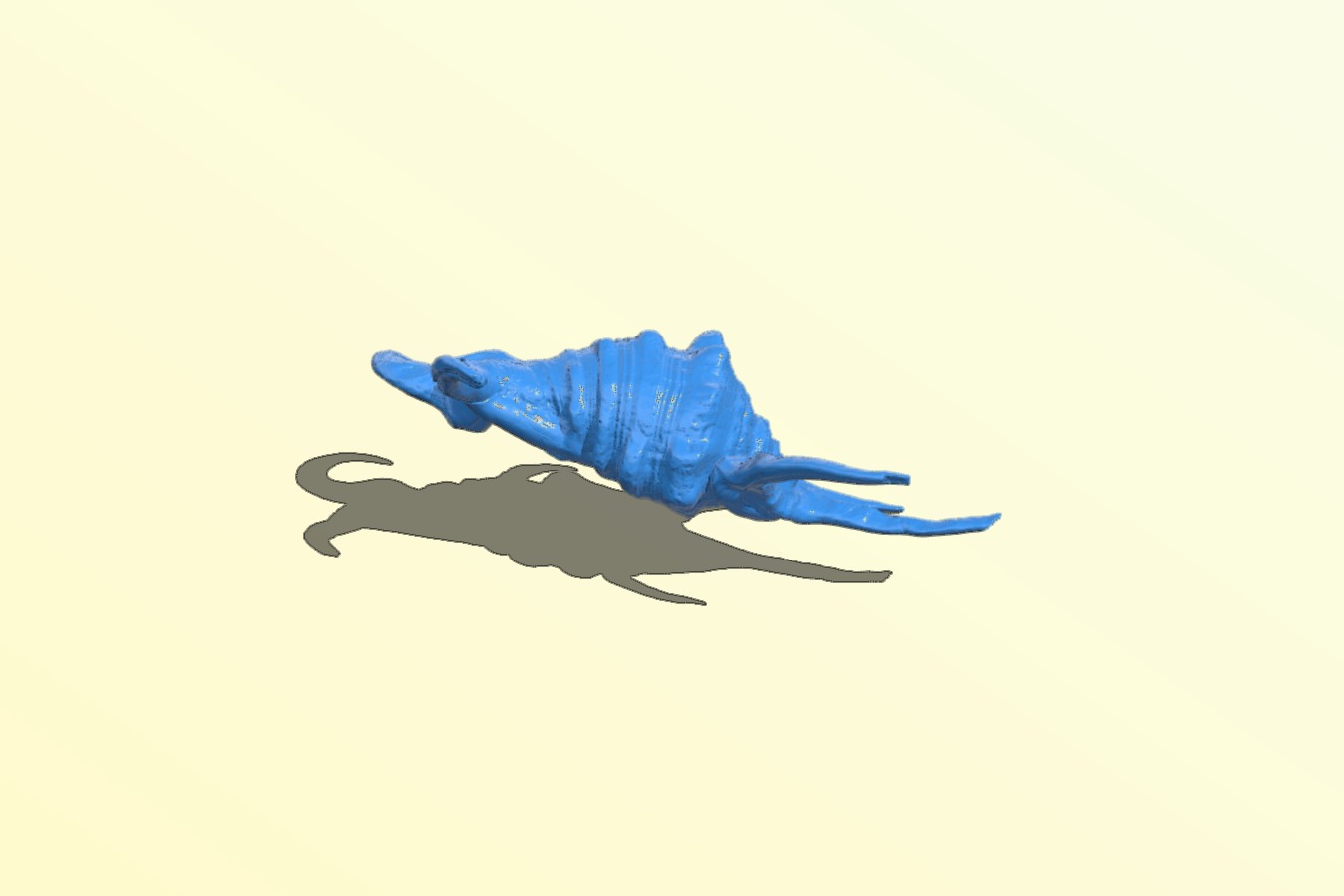 Sea Shell