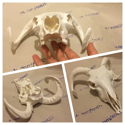 goal skull | 3d print model