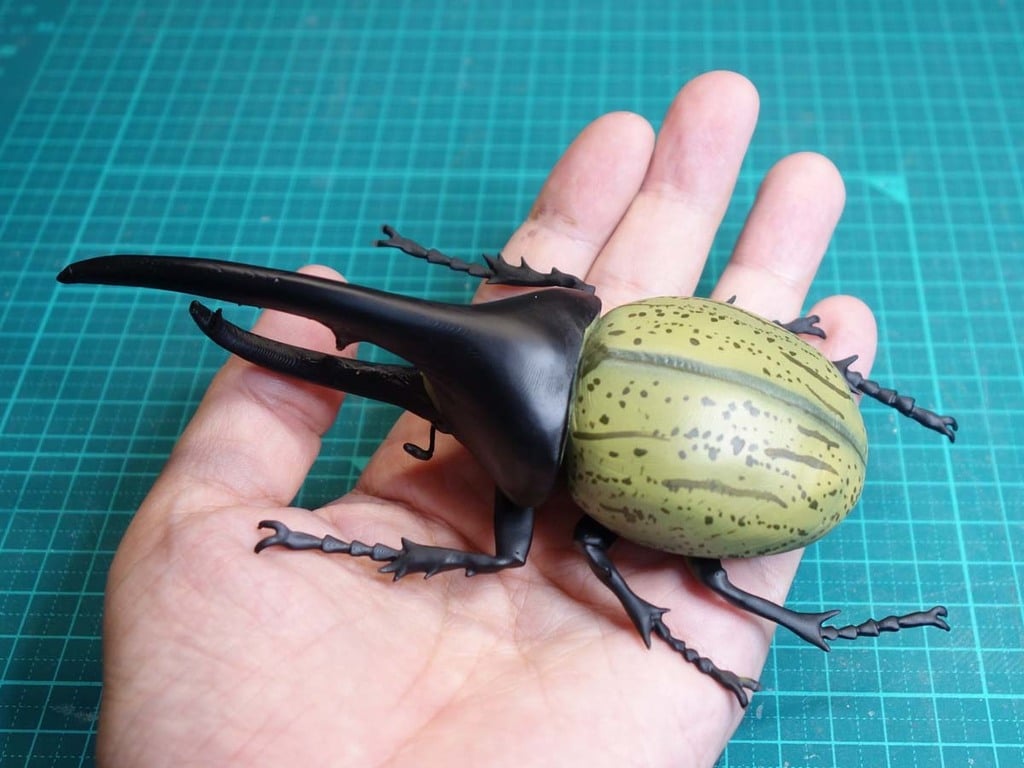 Hercules beetle