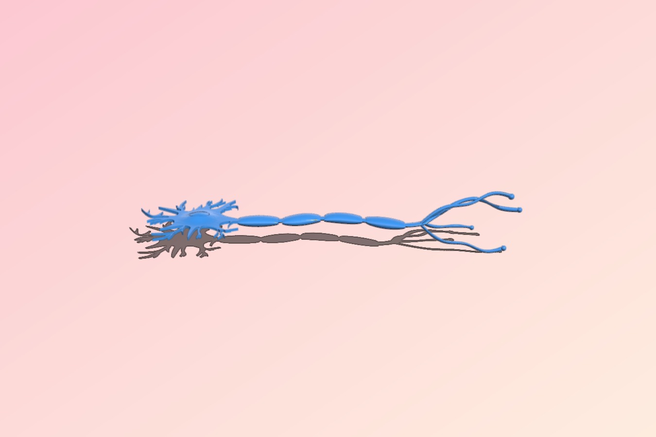 A model for a Neuron Cell Files to download and to 3D print for free