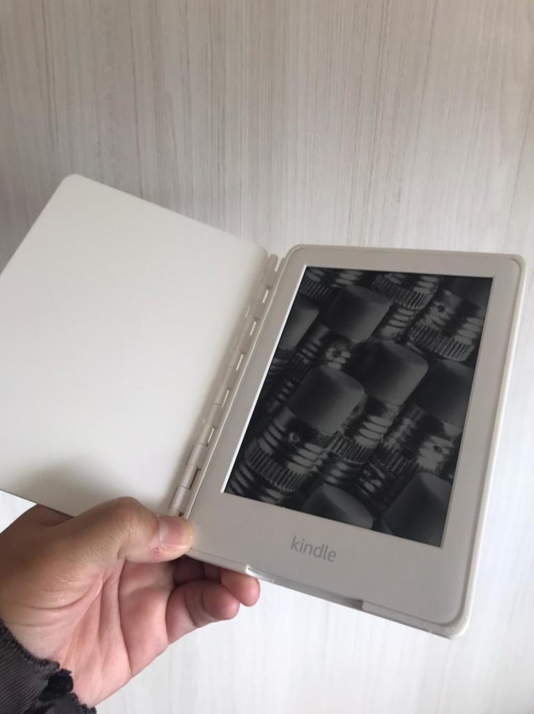 Folding Paperwhite 10 Case (10th Gen)