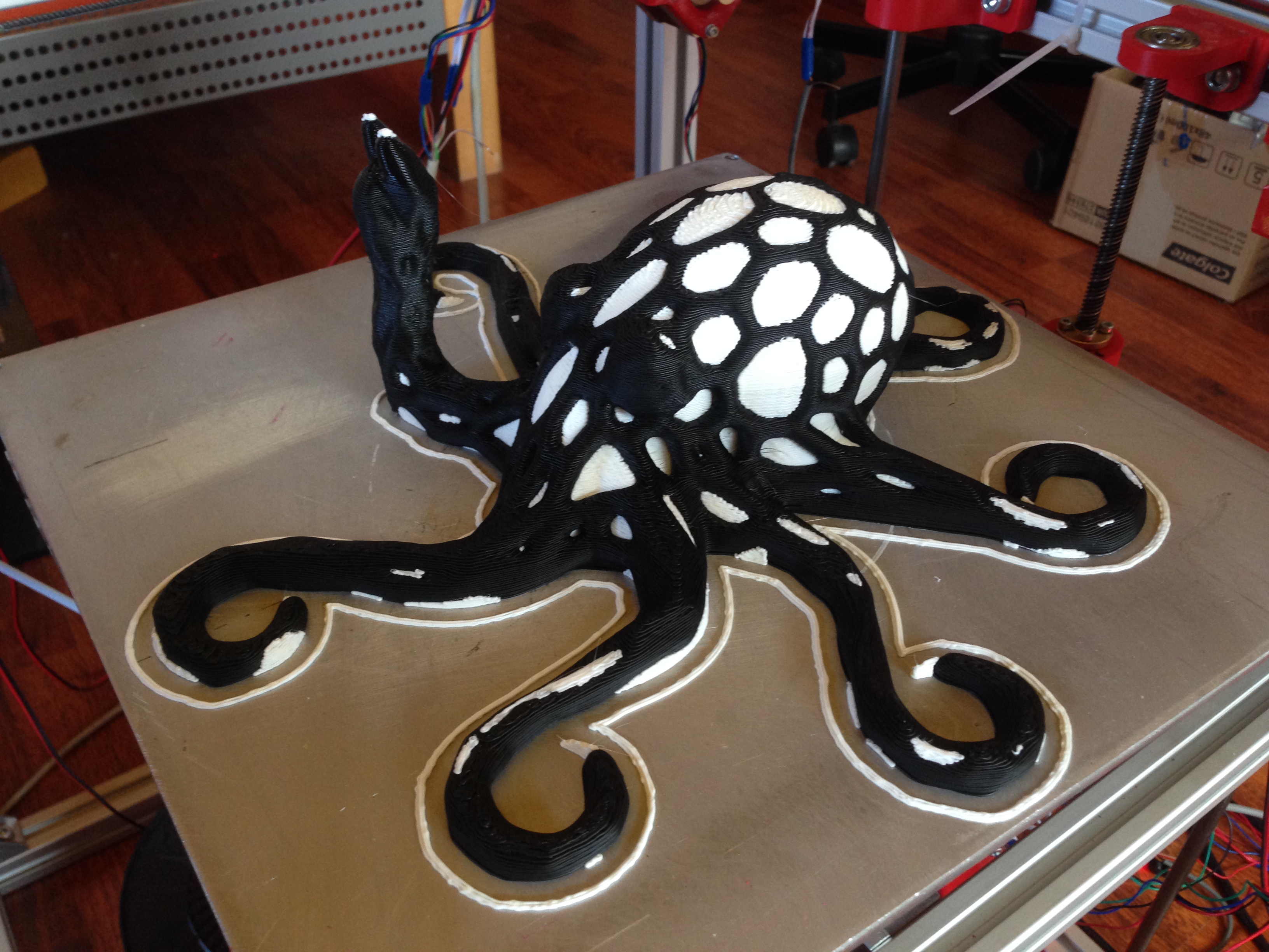 Two color Rocktopus