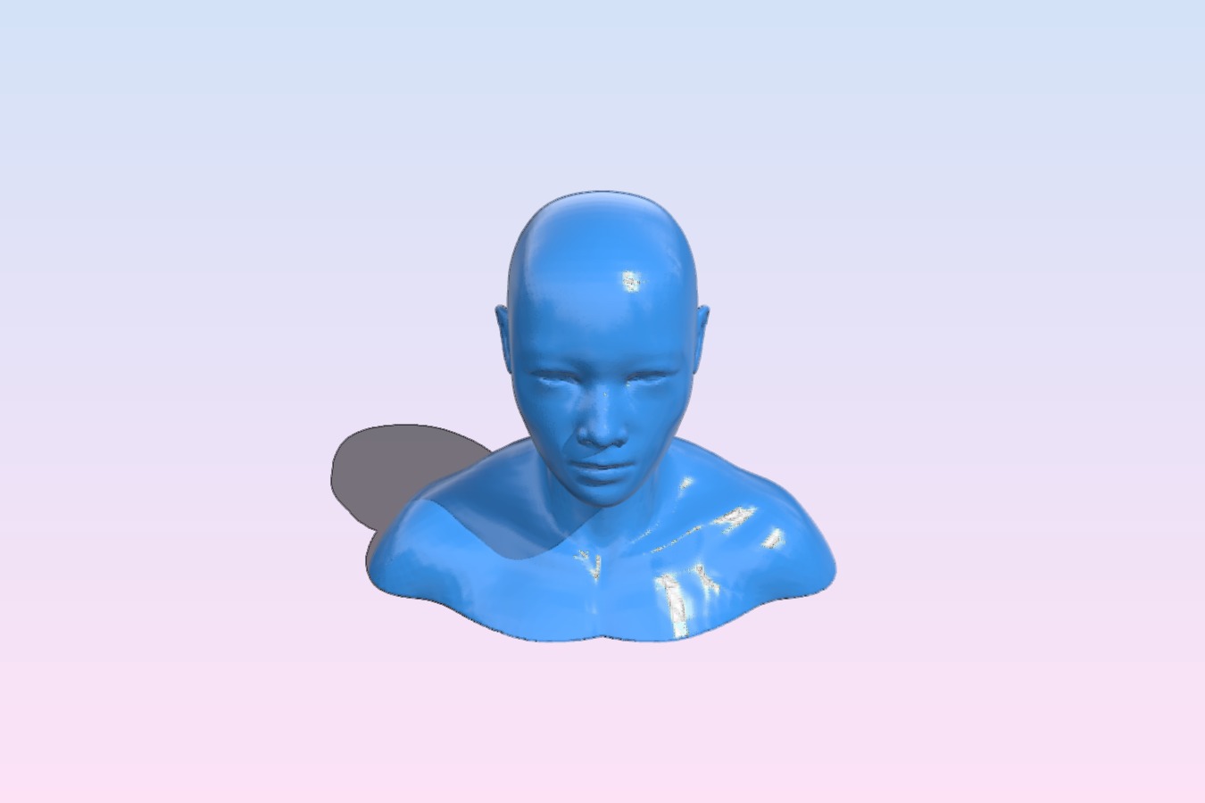 Full Mannequin Head with Shoulders