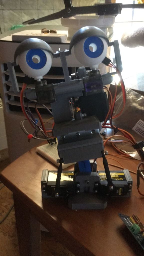 P1X Beginner animatronic Head