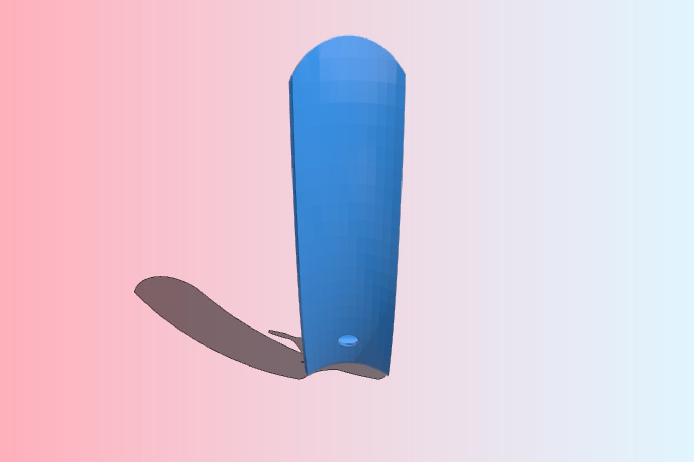 Shoehorn
