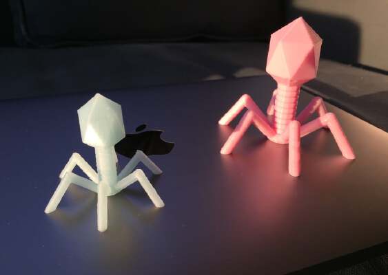 Bacteriophage T4 | 3d print model