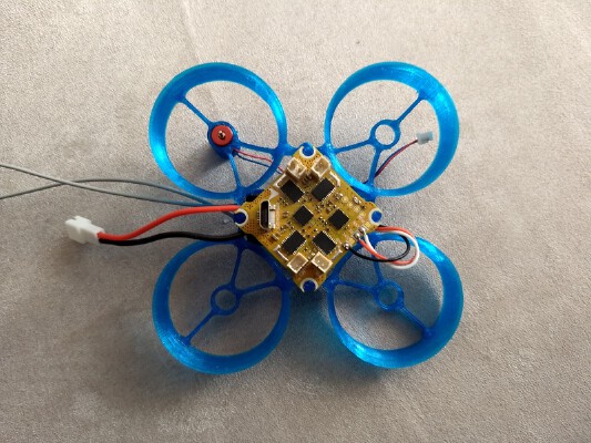 Tiny whoop frame 65mm & FM800 mini Futaba Fasst RX | 3d print model