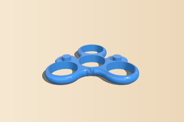 SL DL Fidget Spinner | 3d print model