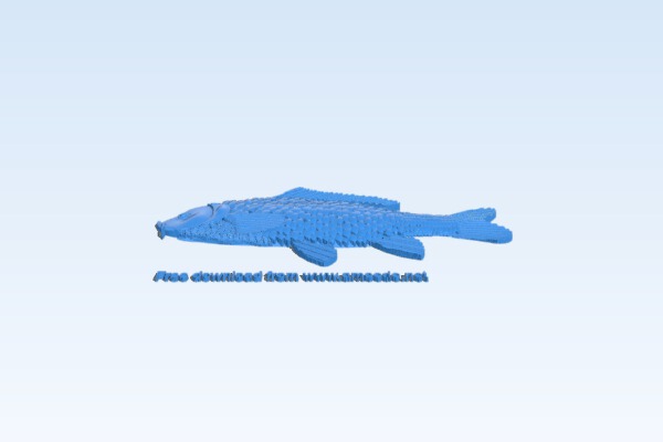 Carp – fish | 3d print model