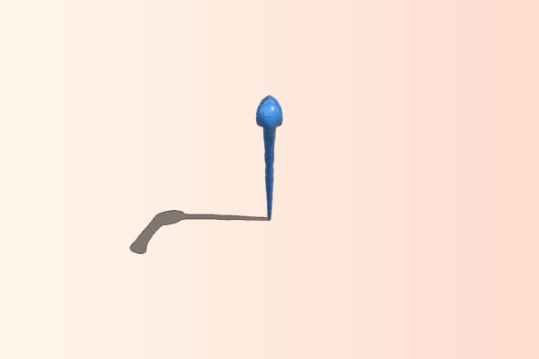 Bellatrix wand | 3d print model
