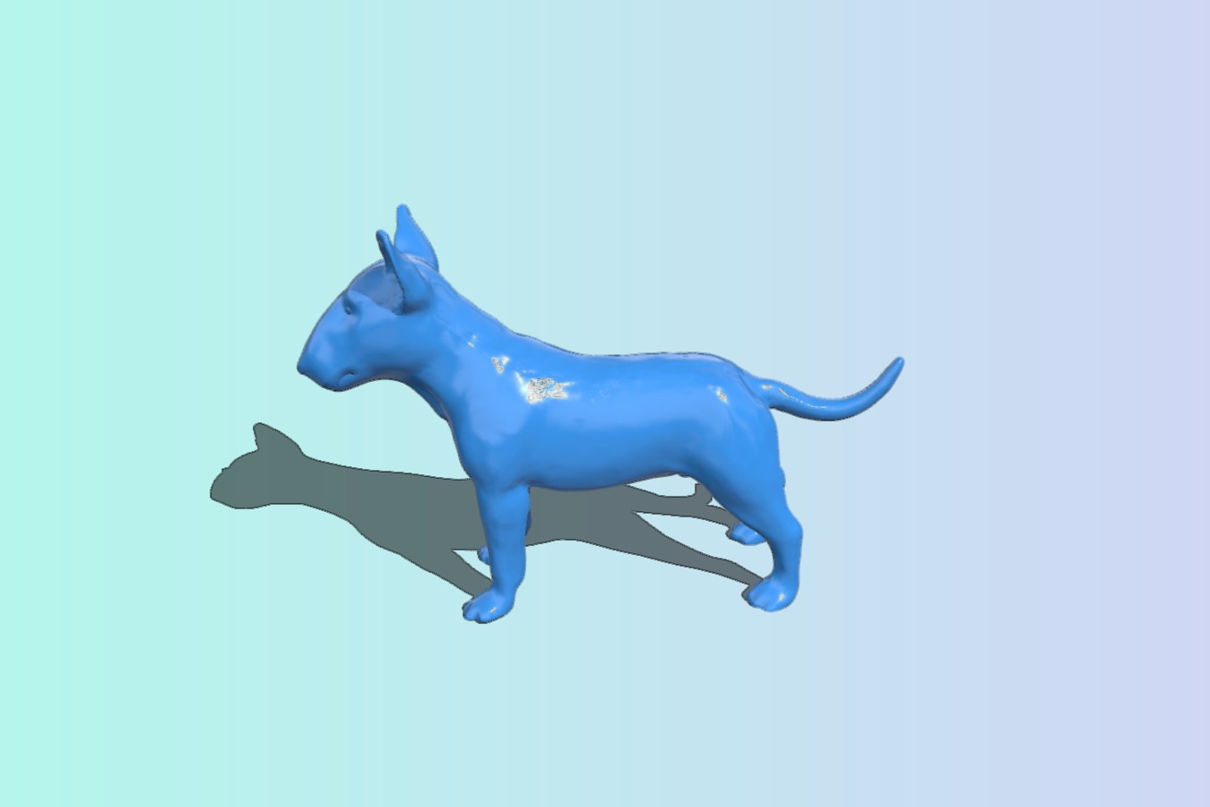 Dog bull terrier