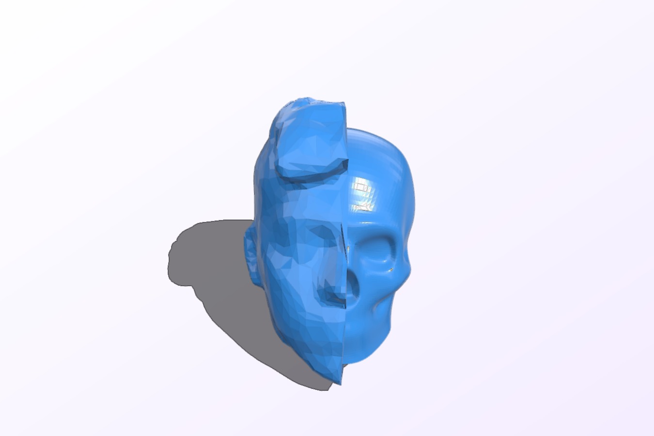 Half skull half face