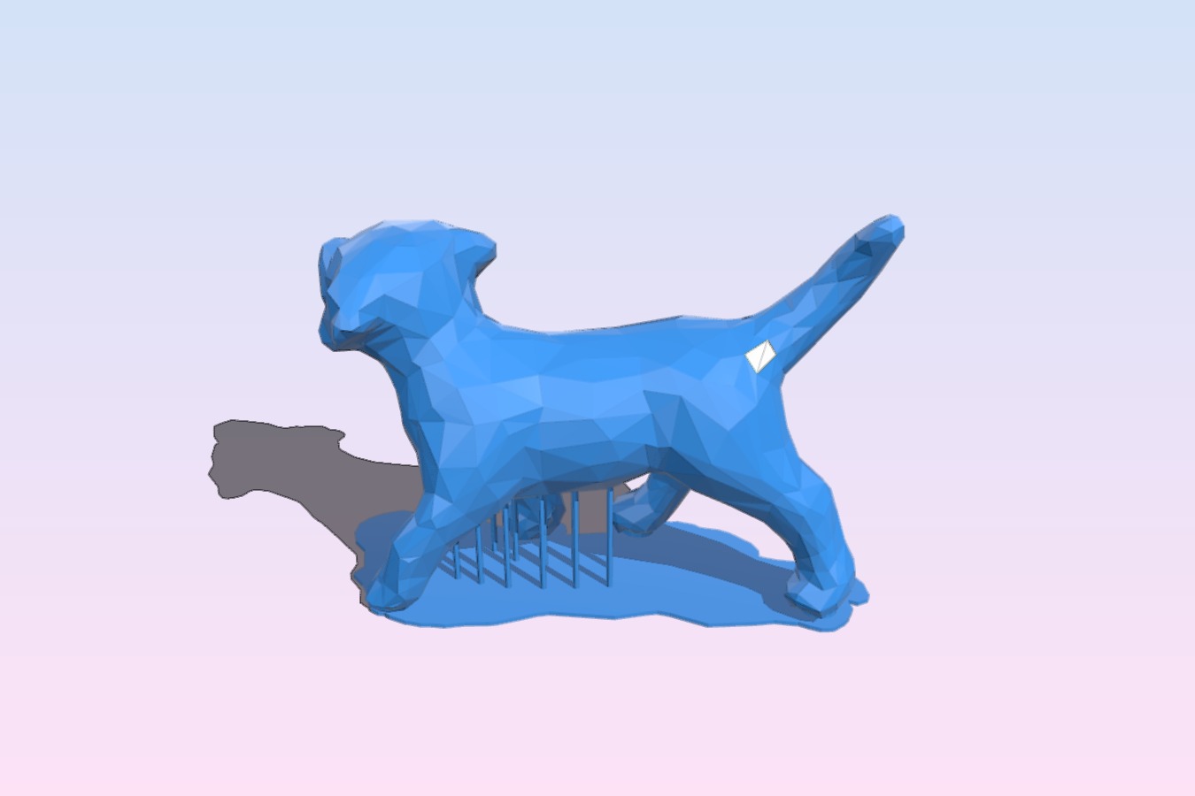 Little dog