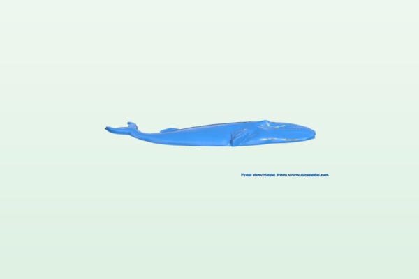 The fish – blue whale | 3d print model