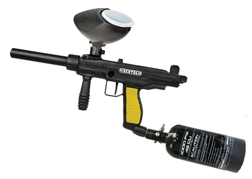 GoPro on paintball barrel | 3d print model