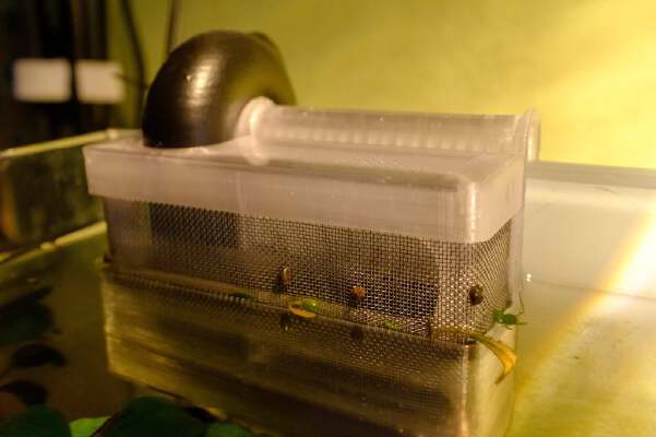 Silent Aquarium Overflow Box for Sump | 3d print model