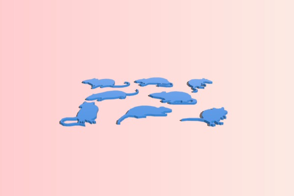 MOUSE FIGURE | 3d print model