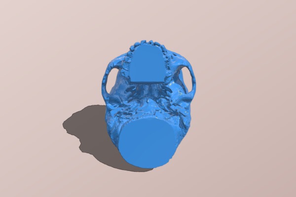 Halloween Skull Bowl | 3d print model