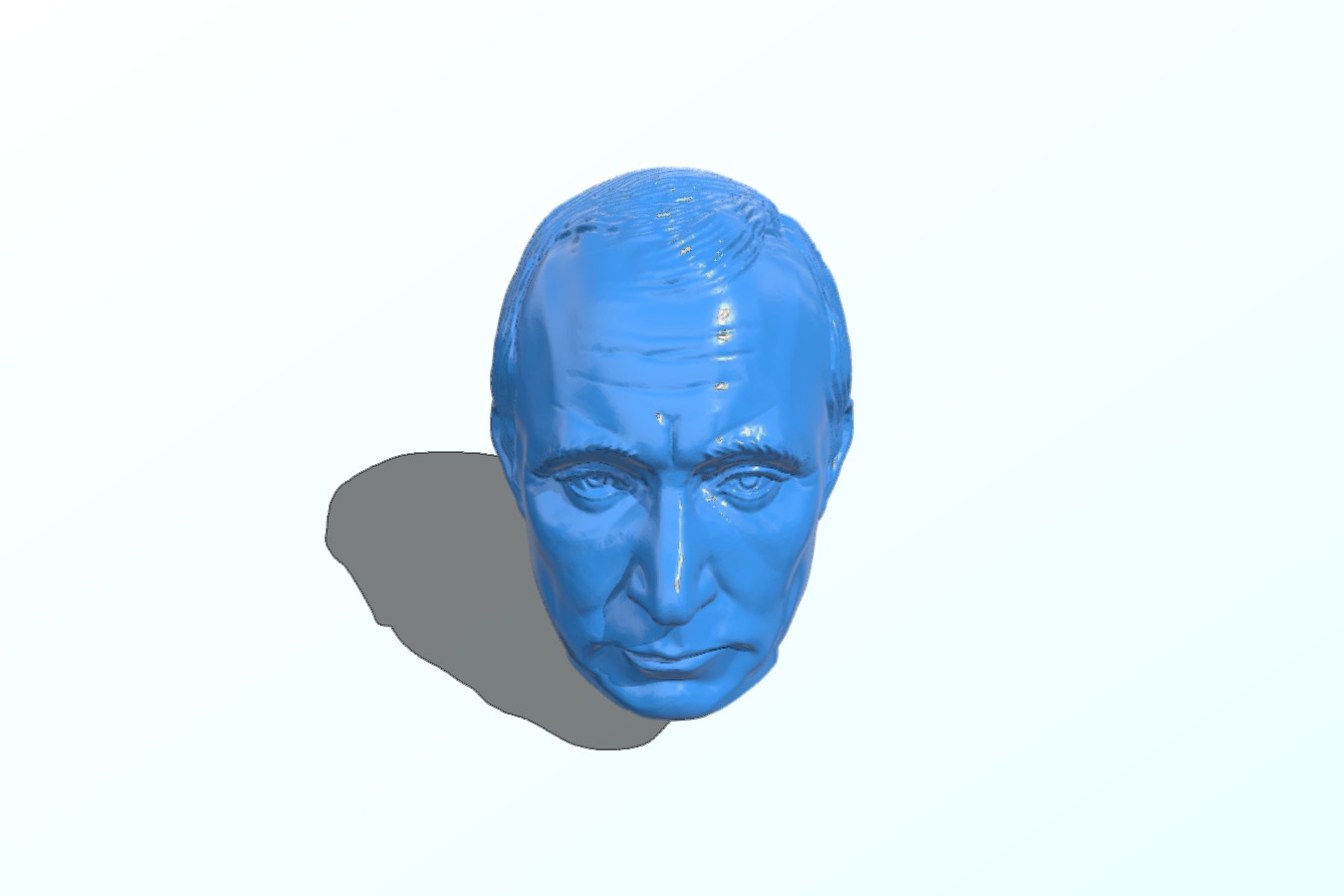 Head putin