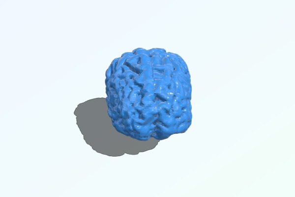Living Brain | 3d print model